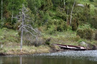 Blåsentopp
