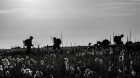 Fotografer på leit