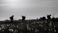 Fotografer på leit