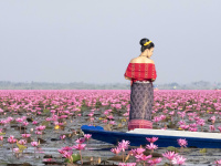 Red Lotus lake, Udon Thani, Thailand