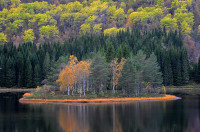 Hederlig omtale - A ring of fire
