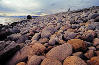 Hederlig omtale - Rolling stones