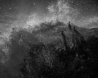 Overrasket skarv, SØLV RSF open monochrome, 10th Nordic International Circuit