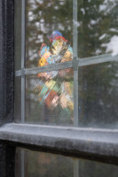 Looking in, looking out