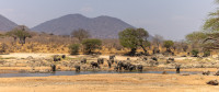 Ruaha River