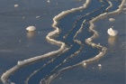 Antatt: Linjer i isen