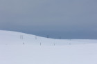 Antatt - Linjer i vinterland