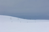 Antatt - Linjer i vinterland