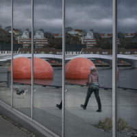 Antatt - Walking the dog
