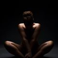 Fra galleriet