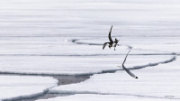 flghting over ice