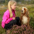 Fra galleriet
