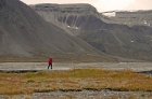 Antatt - Isbjørnvakt på Svalbard