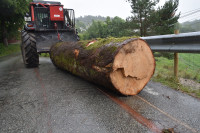 Diameter 80cm.