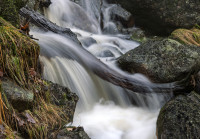 3. plass mars 2026 - Vått....