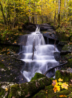 1. plass mars 2026 - Høstbekk