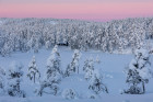 Sol oppgang på fjell