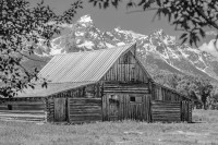 Old barn in the Tetons