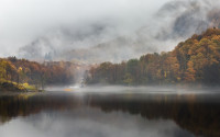 Autumn Fog - Antatt- Nordic Championship of Photography 2023