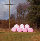 Stolpe med rosa baller