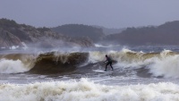 Surfer i go`bølge
