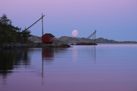 God timing. Antatt. Digital farge - Fritt motiv. Høst 2025