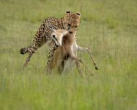 Game over - 2x Antatt - X INTERCONTINENTAL CIRCUIT 2025