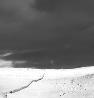 Vinter - Antatt - Digital monokrom - vår 2026