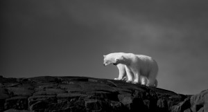 Antatt - Mot horisonten