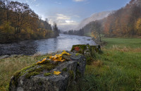 Bronse - Høstmorgen ved Lygnas bredder