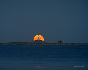 Rauna i fullmåne