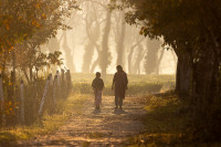 Morning talk - antatt - Digital farge, fritt motiv - Høsten 2025