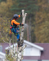 Antatt - Eriksen Trefelling på jobb